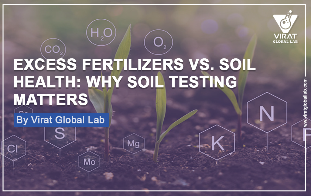 Impact of Excess Fertilizer Use on Soil Health and the Role of Soil Testing in Sustainable Agriculture