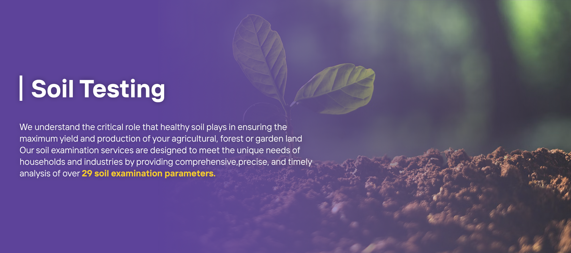 Soil Testing